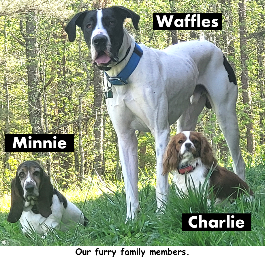 How Furever Friends Started — For the Love of Pets