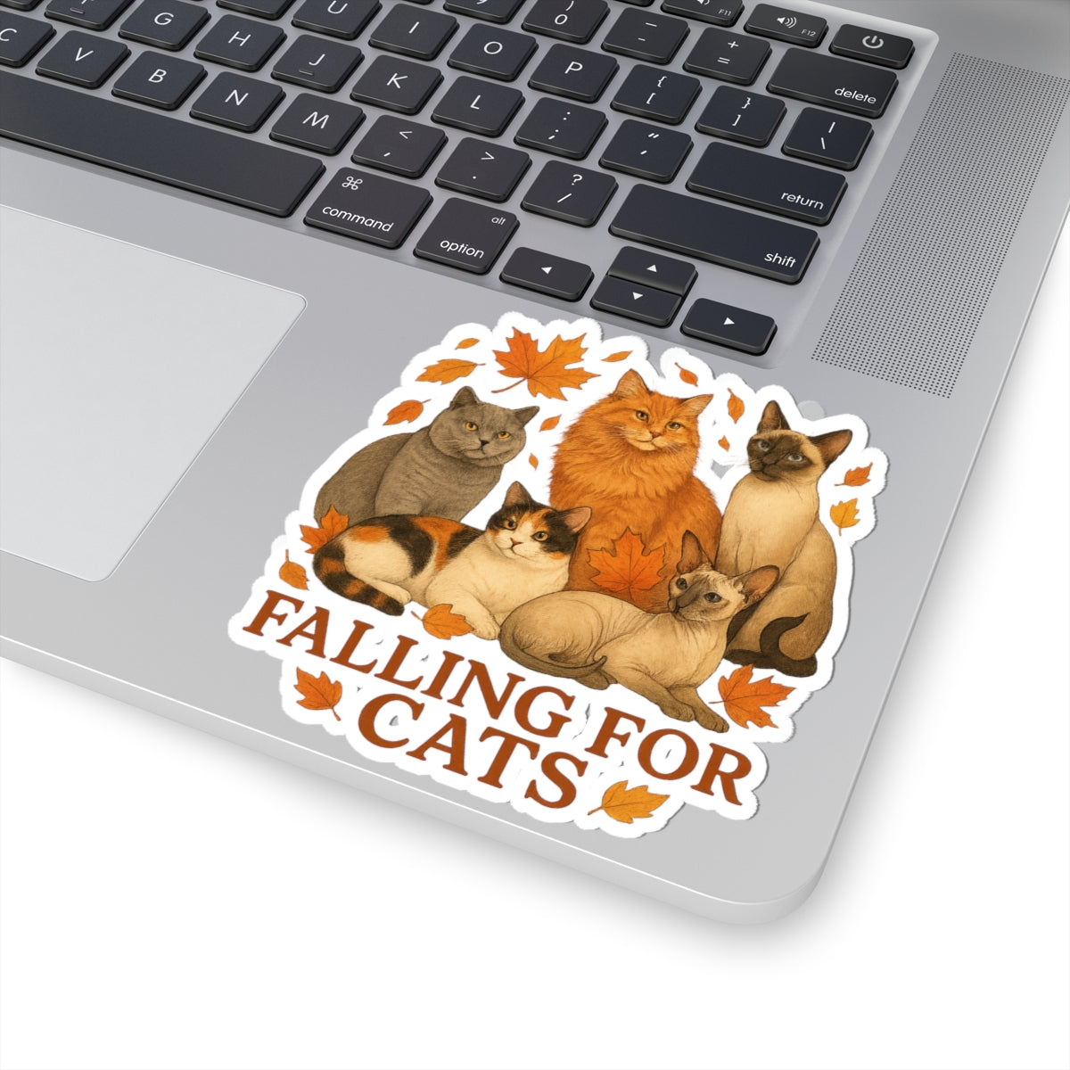 Falling For Cats Sticker