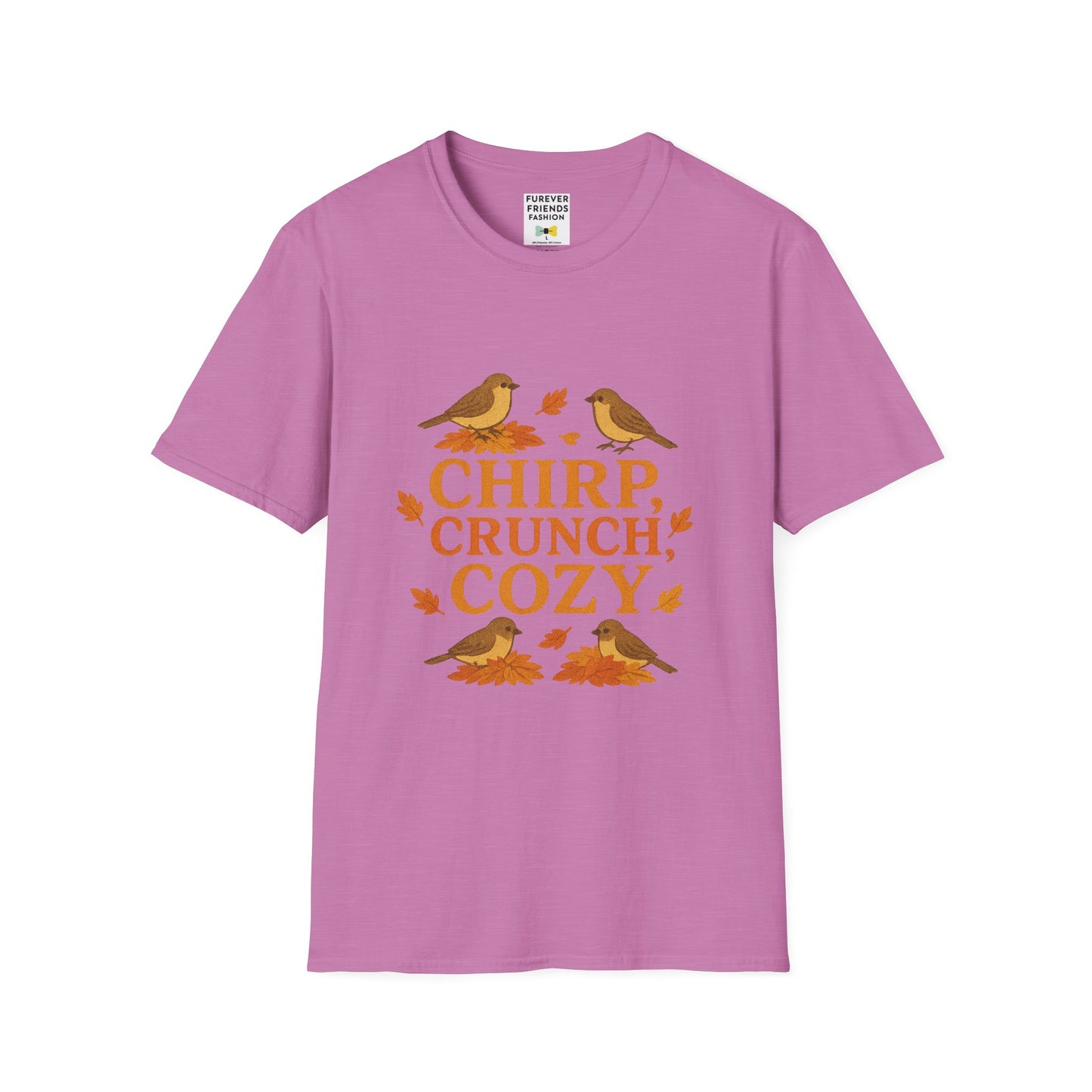 Chirp Crunch Cozy Autumn Themed Tee