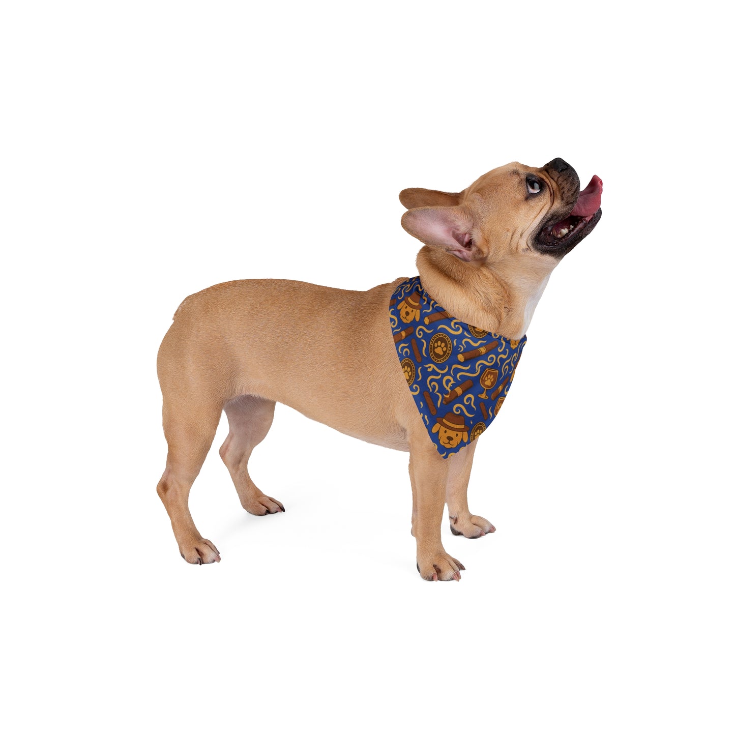 Cigars and Whiskey Bandana for Dogs, Cute Dog Accessory, Trendy Pet Fashion, Holiday Gift for Pet Lovers, Fun Pet Scarf