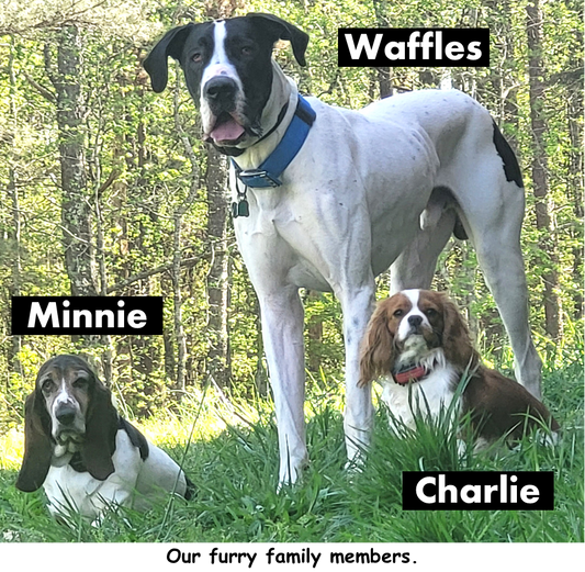 How Furever Friends Started β For the Love of Pets